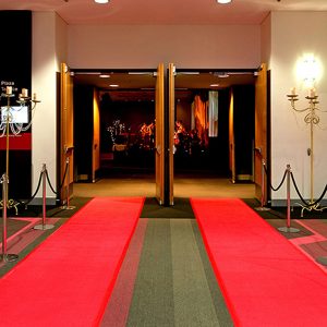 Red Carpet Premiere Events